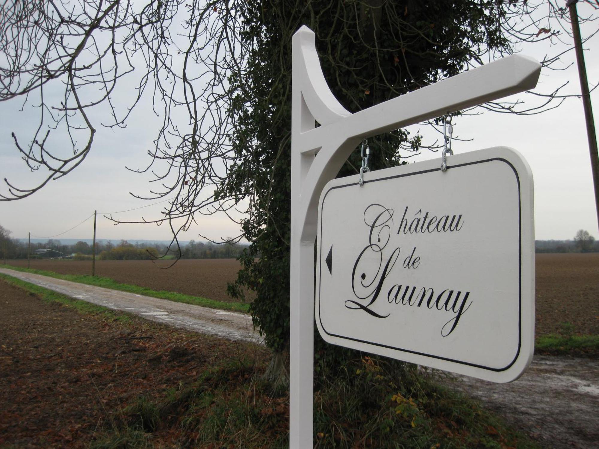 Chateau De Launay Méry-Corbon Esterno foto